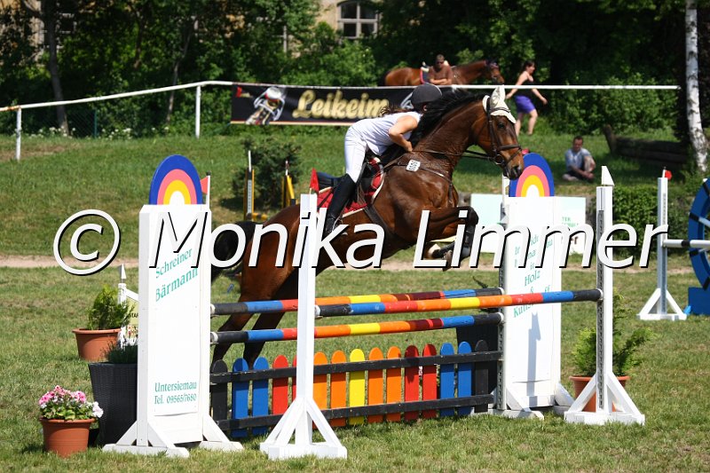 105M3534_African Music_Spring_L.JPG